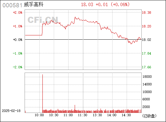 探究威孚高科東方財(cái)富股吧的獨(dú)特魅力與機(jī)遇——以關(guān)鍵詞000581威孚高科為中心，威孚高科東方財(cái)富股吧的獨(dú)特魅力與機(jī)遇解析——關(guān)鍵詞000581威孚高科探討