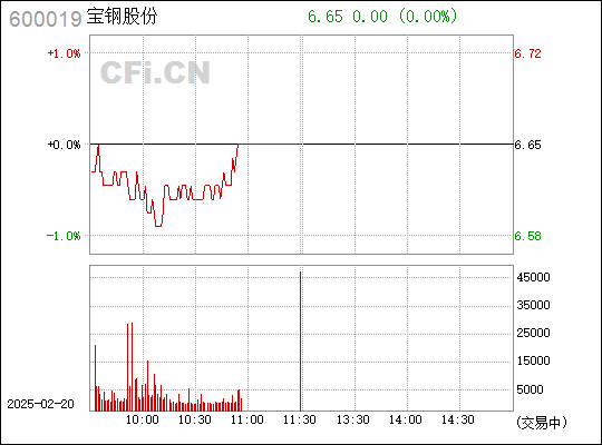 寶鋼股份吧 600019 股吧，深度解析與前景展望，寶鋼股份（600019）深度解析與前景展望，股吧熱議話題