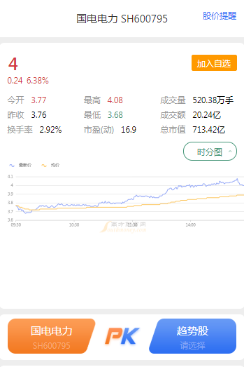 國電電力股票600795，深度解析與前景展望，國電電力股票600795深度解析及未來前景展望
