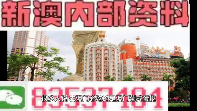 新澳門四肖三肖必開(kāi)精準(zhǔn)，探索命運(yùn)之輪的奧秘，探索命運(yùn)之輪，新澳門四肖三肖必開(kāi)精準(zhǔn)預(yù)測(cè)