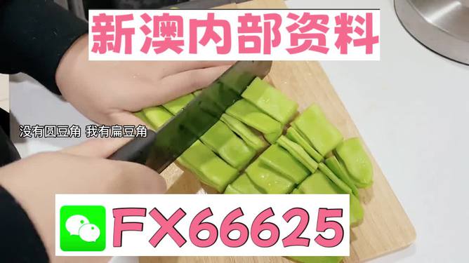 新澳精準(zhǔn)資料免費(fèi)提供，探索與啟示，新澳精準(zhǔn)資料免費(fèi)探索與啟示分享