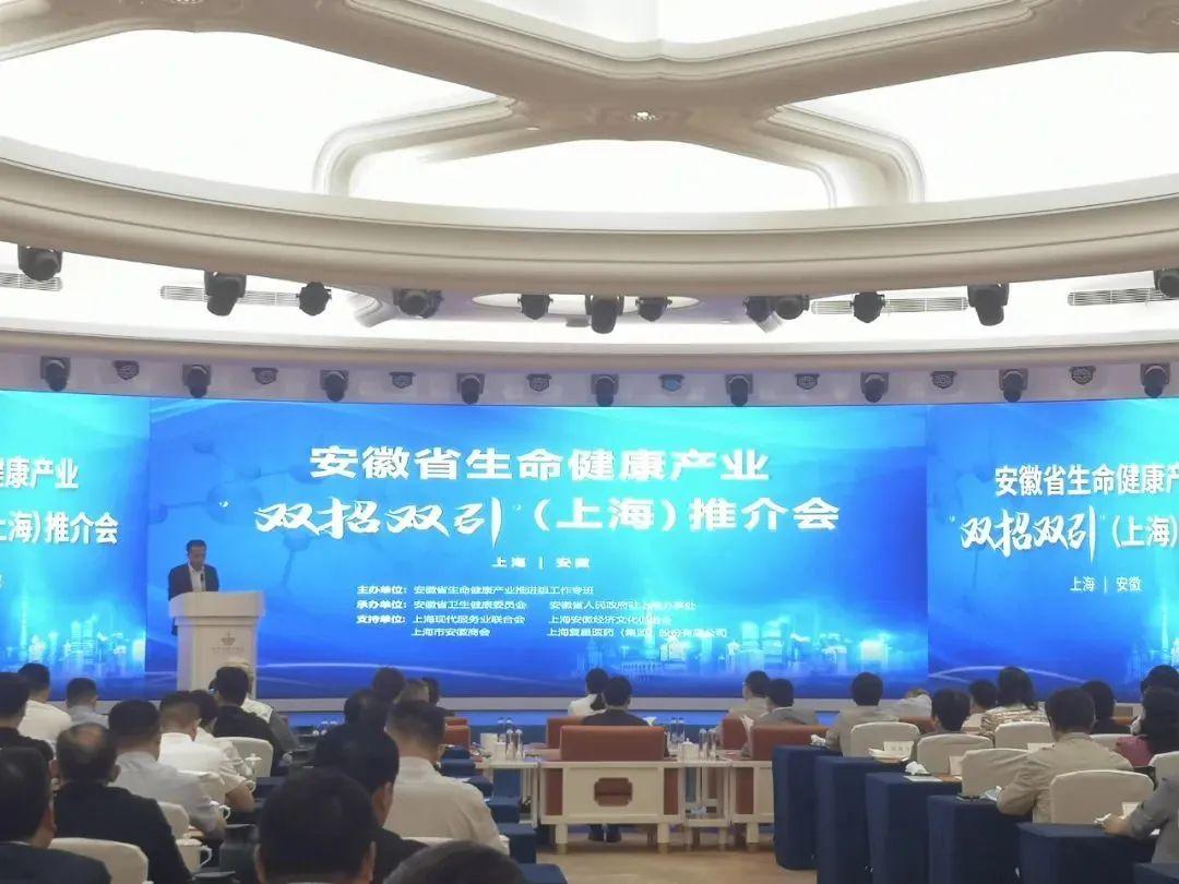 安徽合力股份有限公司，引領(lǐng)行業(yè)發(fā)展的先鋒力量，安徽合力股份有限公司，行業(yè)先鋒，引領(lǐng)發(fā)展之路
