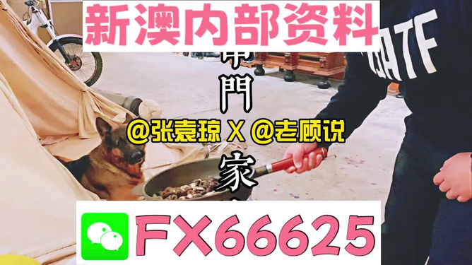 新澳門2025年資料大全管家婆，探索與預(yù)測，澳門未來展望，2025年資料大全與預(yù)測分析
