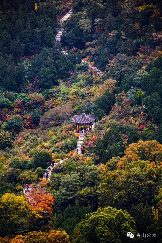香山公園官網(wǎng)門票預約攻略，香山公園門票預約攻略指南
