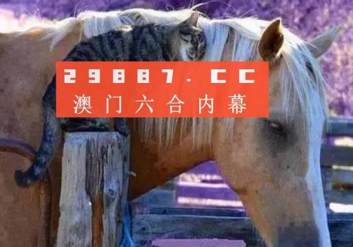 澳門最快開獎六開四不像，探索與解析，澳門六開四不像彩票開獎探索與解析