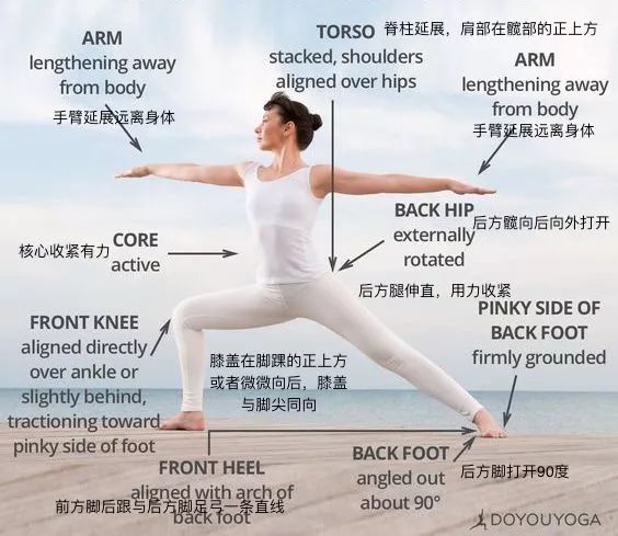 瑜伽減肥的原理，瑜伽減肥的原理與效果解析