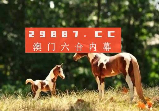 Uc澳門六開獎記錄最快，探索與解析，Uc澳門六開獎記錄最新探索與解析