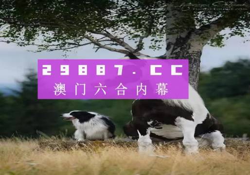 澳門彩票開(kāi)獎(jiǎng)背后的故事，探尋數(shù)字77777與88888的魅力（2023年一瞥），澳門彩票開(kāi)獎(jiǎng)背后的故事，數(shù)字77777與88888的魅力揭秘（2023年最新觀察）