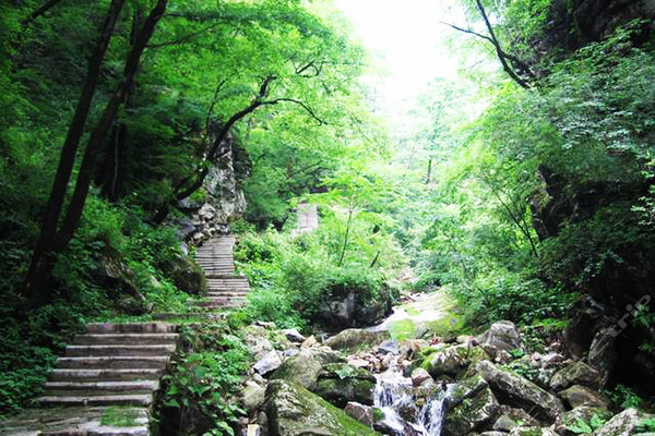 蟒山國家森林公園，北京的自然寶藏，蟒山國家森林公園，北京的自然秘境