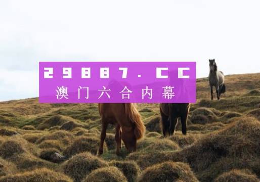 澳門六開獎結(jié)果查詢——輕松掌握最新開獎動態(tài)，澳門六開獎結(jié)果查詢，實(shí)時掌握最新開獎信息