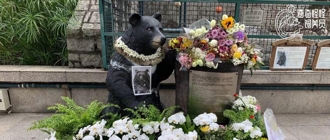 澳門六開獎記錄最快48，探索與解析，澳門六開獎記錄探索與解析，最快48期揭秘