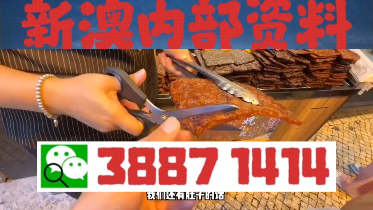 澳門一肖三碼必中特，探索與揭秘，澳門一肖三碼必中特，揭秘與探索的奧秘