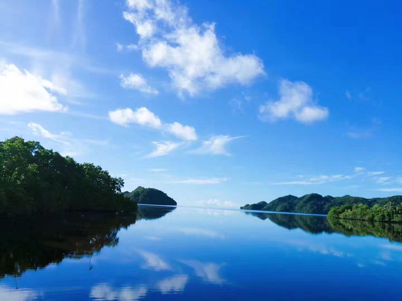 澳門美人魚(yú)最快開(kāi)獎(jiǎng)結(jié)果圖及其背后的故事，澳門美人魚(yú)開(kāi)獎(jiǎng)結(jié)果圖與背后的故事揭秘