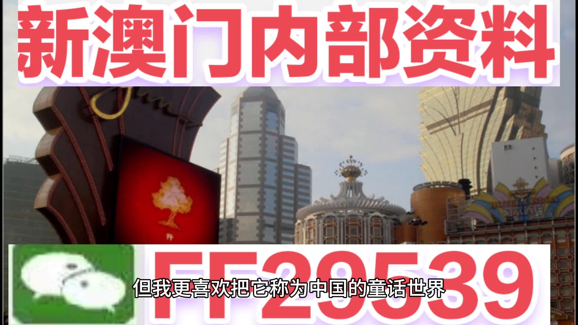 澳門特馬今晚開獎的背景故事，澳門特馬今晚開獎背后的故事