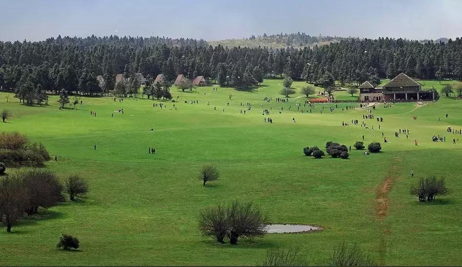 重慶仙女山國家森林公園，自然之韻，人文之魂，重慶仙女山國家森林公園，自然人文的和諧交響