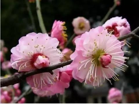 北京大觀園旅游攻略，北京大觀園游玩攻略大全