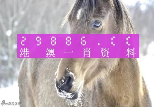 澳門一肖一碼，揭秘背后的秘密與真相，澳門一肖一碼揭秘背后的秘密真相大揭秘