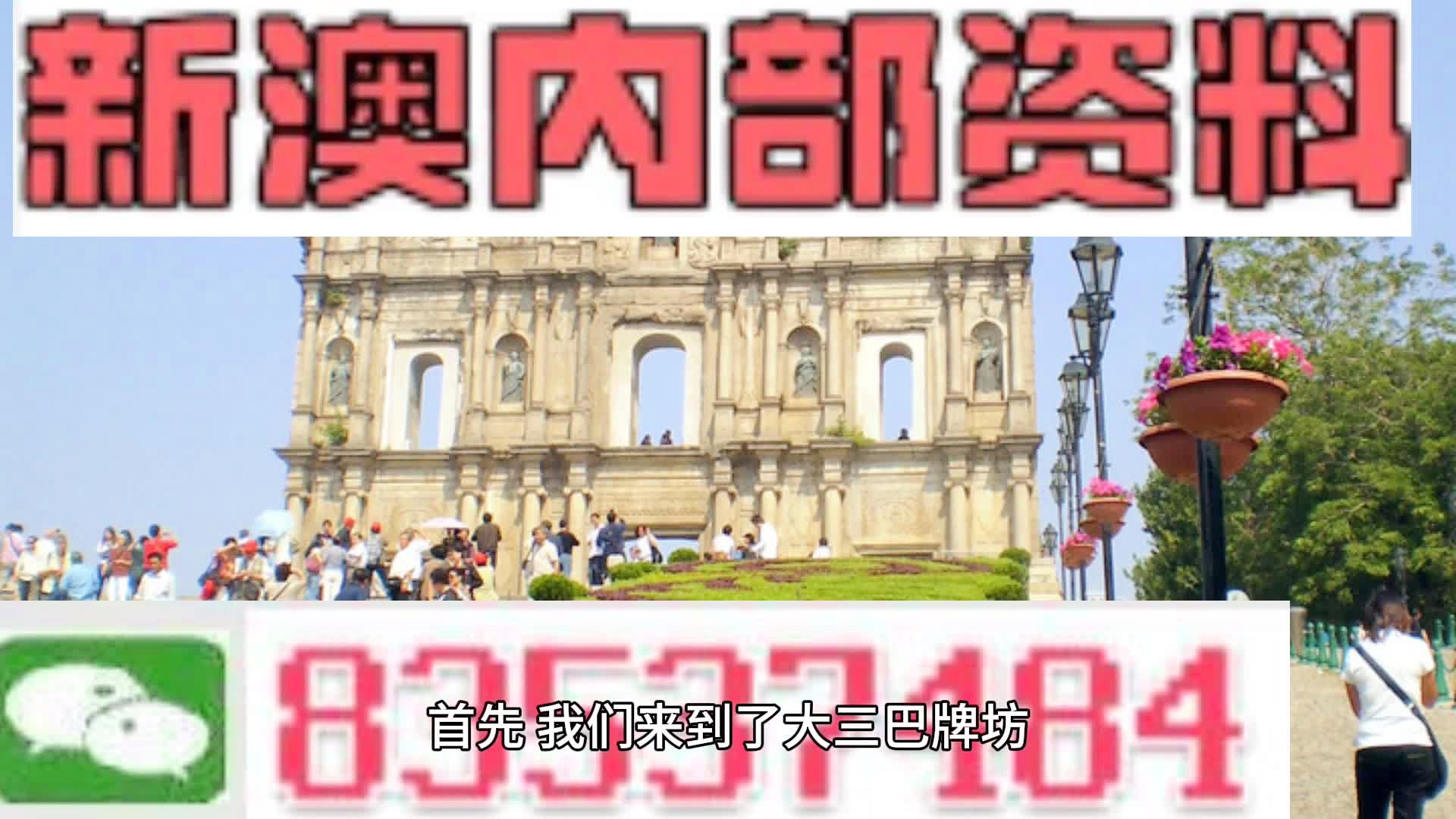 澳門一肖一碼期期準(zhǔn)中選料野，探索與解析，澳門一肖一碼期期準(zhǔn)探索與解析，揭秘中獎秘訣