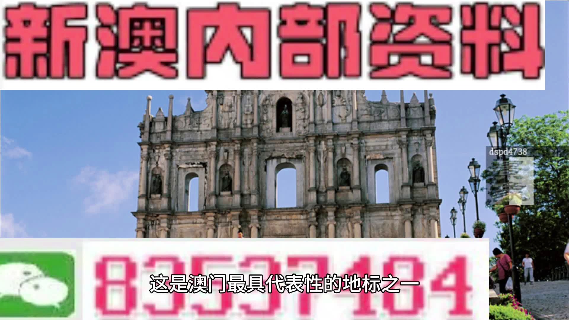 新澳門精準資料期期精準，深度解析與探討，澳門精準資料深度解析與探討，期期精準揭秘