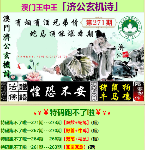 王中王資料與一肖中特白，深度解析，王中王資料與一肖中特白深度解析報(bào)告