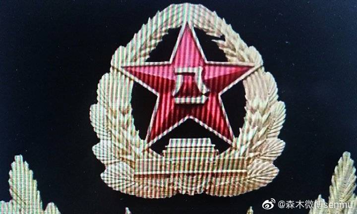 揭秘79集團軍軍徽，榮耀與力量的象征，揭秘79集團軍軍徽，榮耀與力量的不朽象征