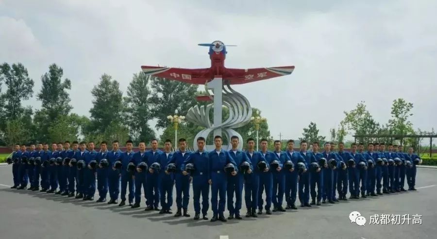 中國空軍招飛局官網(wǎng)，探索中國空軍未來的搖籃，中國空軍招飛局官網(wǎng)，探索中國空軍未來的起點