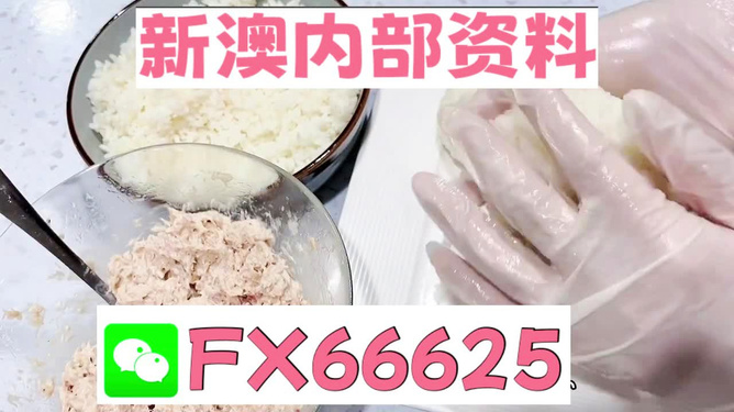 澳門一碼中精準(zhǔn)一碼免費(fèi)中特論壇，探索與揭秘，澳門一碼精準(zhǔn)探索與揭秘論壇