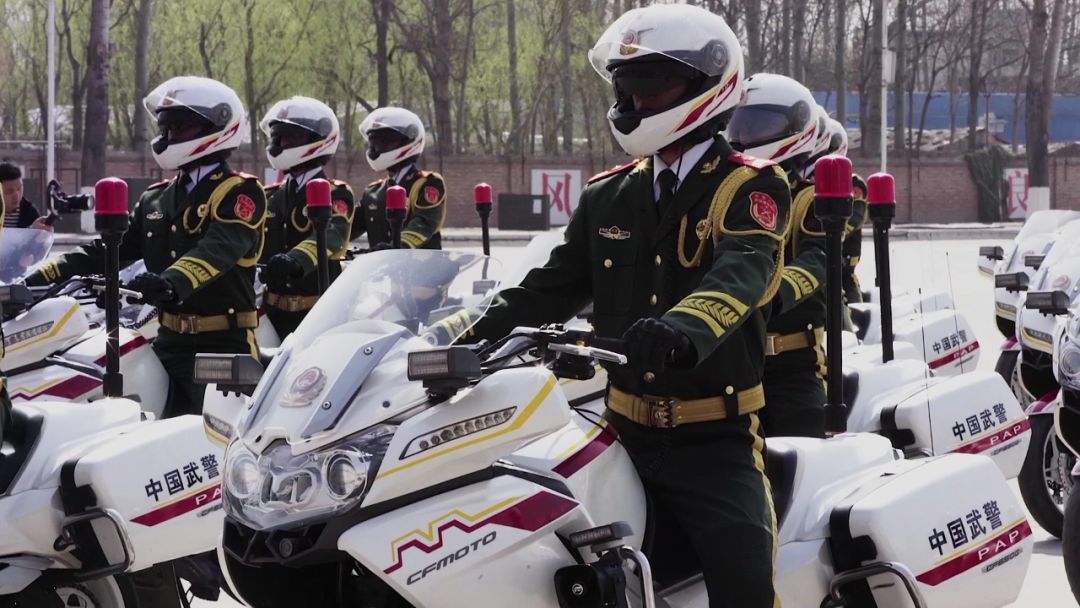 國賓護衛(wèi)隊歷屆指導(dǎo)員，傳承與榮耀的見證者，國賓護衛(wèi)隊歷屆指導(dǎo)員，傳承與榮耀的見證者之路