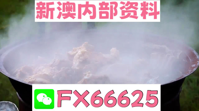 新澳全年免費資料大全，探索與收獲，新澳全年免費資料大全，探索之旅與收獲的時刻