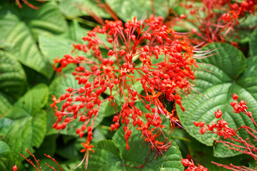 狀元紅資料網(wǎng)，探索知識的寶庫，狀元紅資料網(wǎng)，知識寶庫的探索之旅