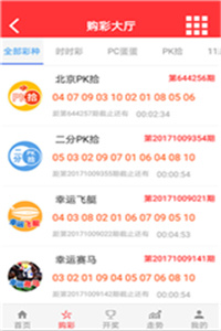 深度解析與分析