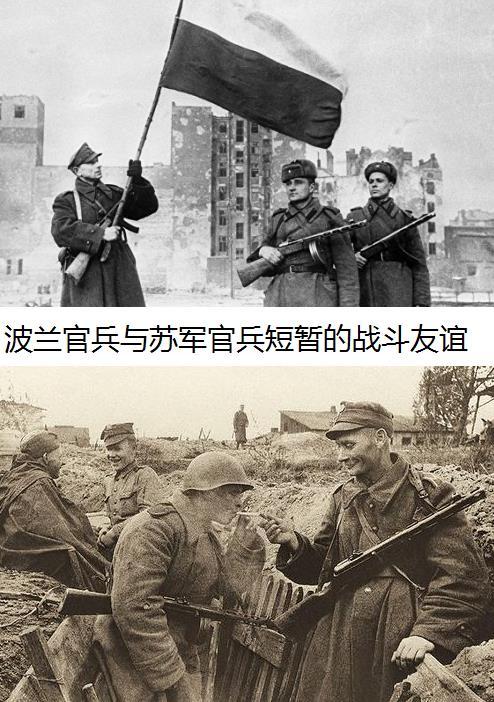 波蘭第1集團軍，歷史、現(xiàn)狀與前瞻，波蘭第1集團軍，歷史沿革、現(xiàn)狀解析與未來前瞻