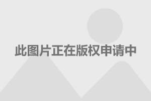 三軍儀仗隊圖片Logo，榮耀的象征與國家的驕傲，三軍儀仗隊圖片Logo，國家榮耀與驕傲的典范