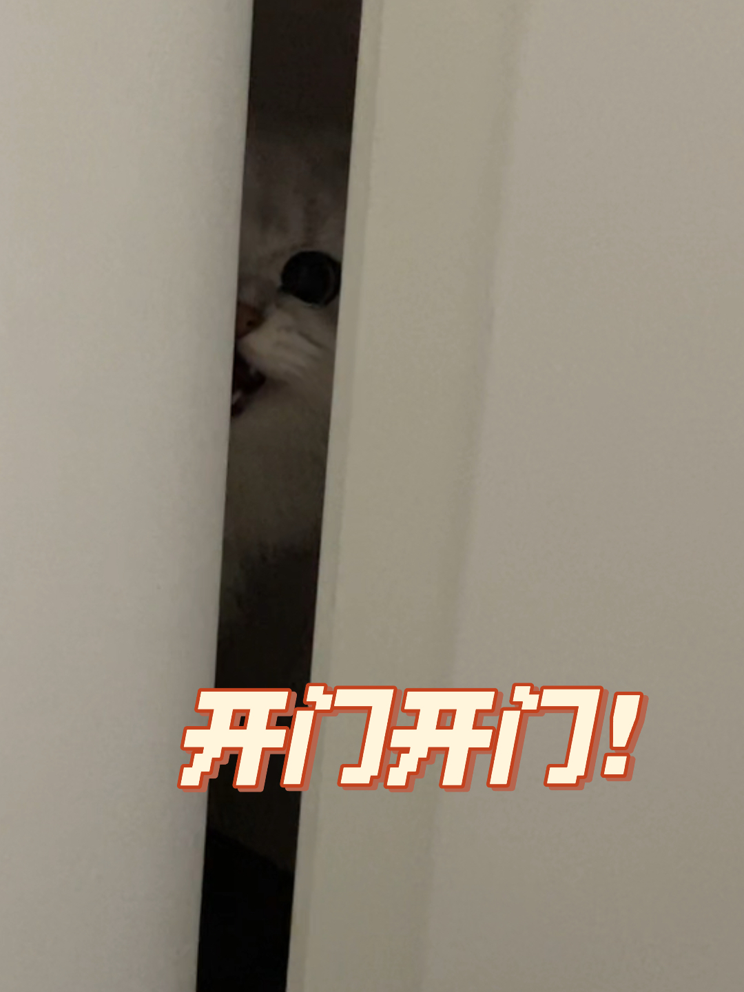今天大佬也不想開(kāi)門，城市生活的節(jié)奏與人的情感波動(dòng)，城市節(jié)奏下的情感波動(dòng)，今日大佬也不欲開(kāi)門