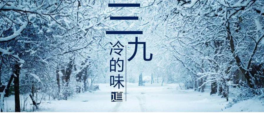 今天是四九的第幾天？寒冬中的溫暖與期待，四九中的溫暖與期待，今日是第幾篇章？