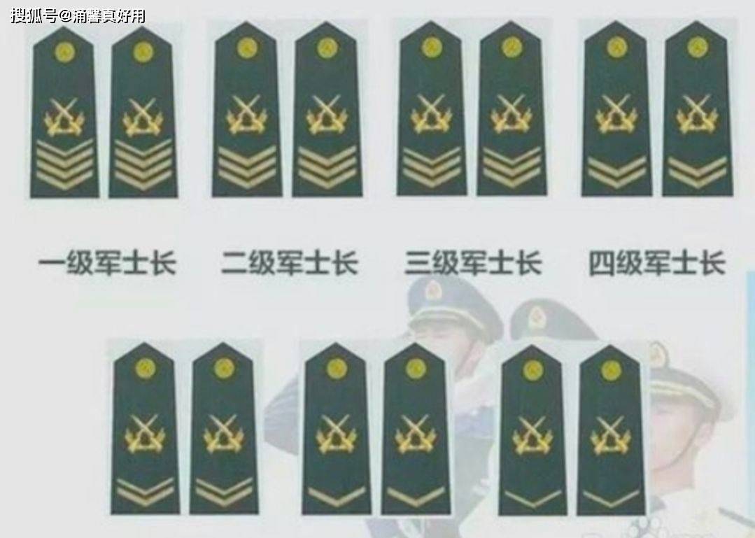 七級士官軍銜，榮譽與責(zé)任的象征，七級士官軍銜，榮譽與責(zé)任的標(biāo)志