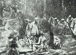 海南島戰(zhàn)役，雙方兵力對(duì)比，海南島戰(zhàn)役，兵力對(duì)比揭秘