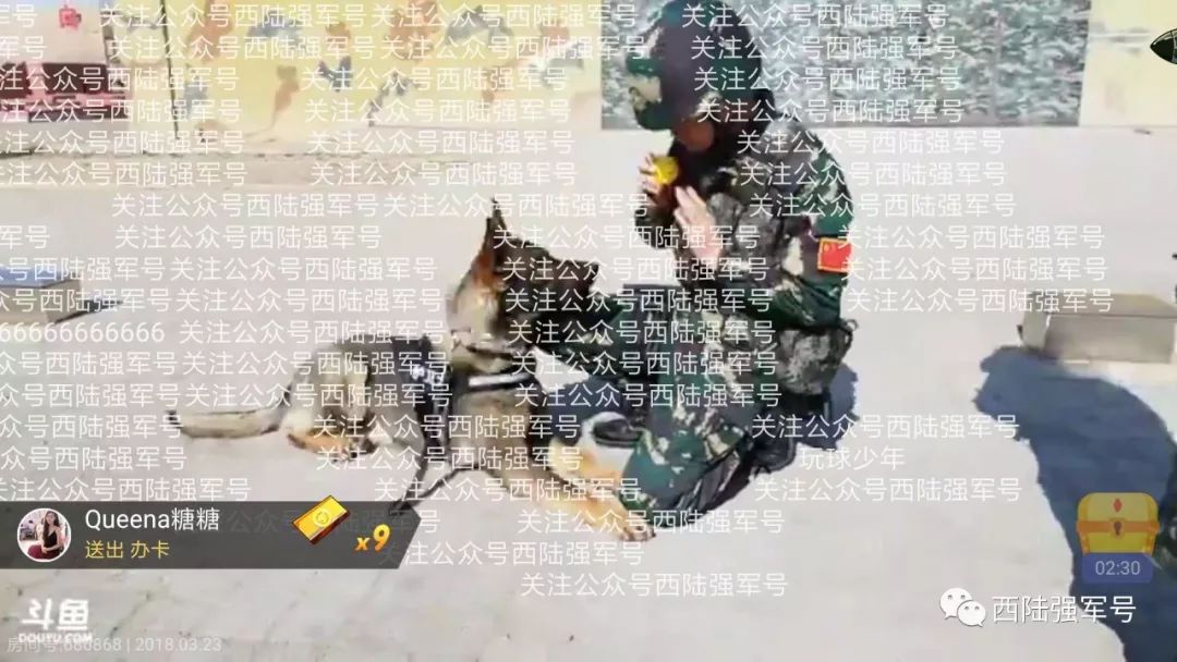 中國網(wǎng)絡(luò)部隊的規(guī)模與職能，中國網(wǎng)絡(luò)部隊的規(guī)模與職能概述