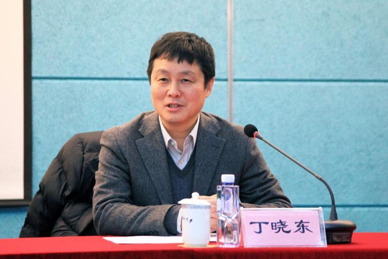 獨臂丁曉東，堅毅與力量的象征，獨臂丁曉東，堅毅與力量的典范