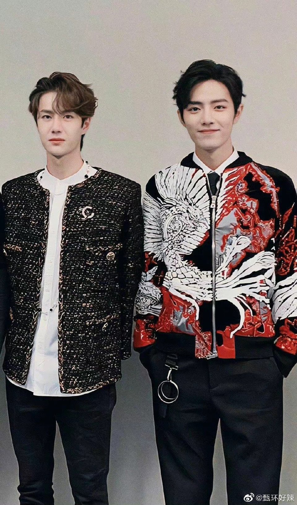 王中王一肖資料，探索肖中特的奧秘，王中王一肖資料揭秘，肖中特奧秘探索