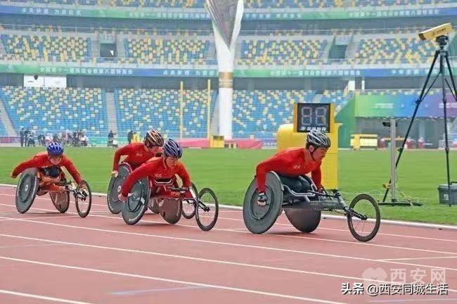探索未來，澳門正版免費(fèi)資本車的新篇章（2025展望），澳門資本車新篇章展望，探索未來，正版免費(fèi)，共赴2025新篇章