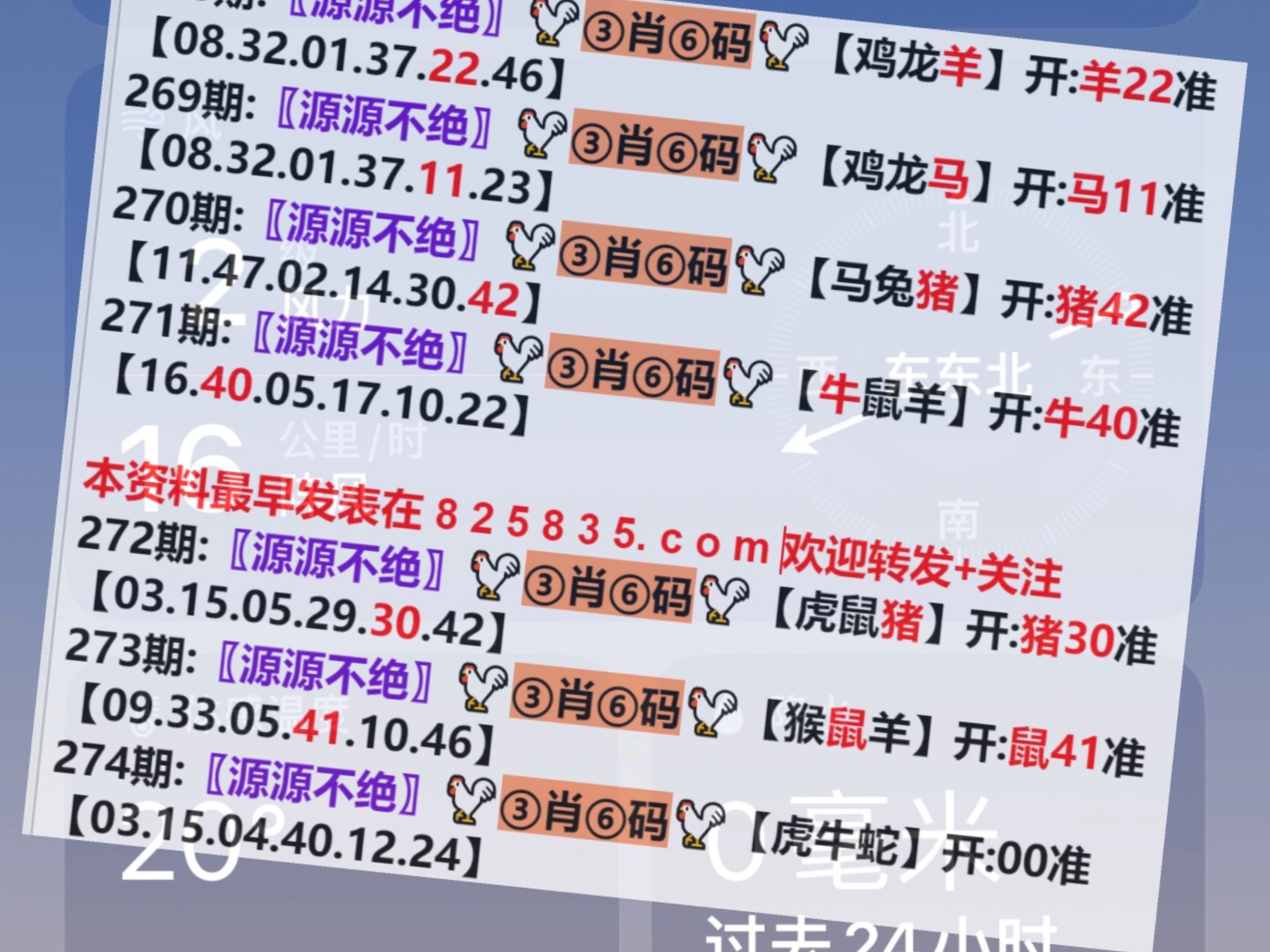澳門一肖一碼開獎結(jié)果，探索與解析，澳門一肖一碼開獎結(jié)果解析與探索