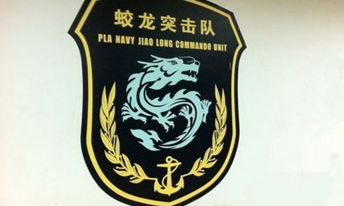 蛟龍突擊隊(duì)編制是連嗎？——解析特種部隊(duì)編制與使命，特種部隊(duì)編制揭秘，蛟龍突擊隊(duì)是連級單位嗎？解析其使命與編制