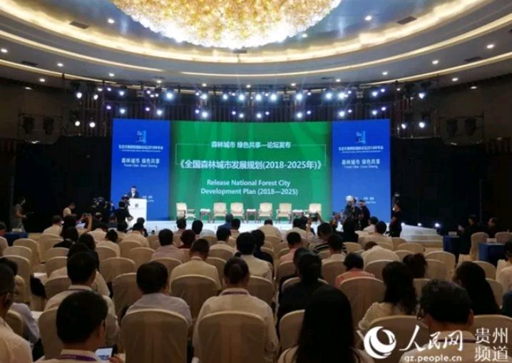 概覽（或概述）