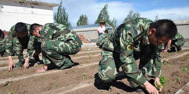 軍事農(nóng)業(yè)頻道是否已被刪除？探究背后的原因與影響，軍事農(nóng)業(yè)頻道背后的消失原因及其影響探究