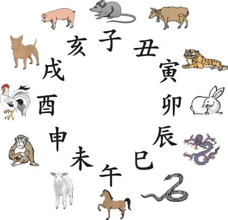 王中王016指一生肖——探尋背后的神秘與魅力，王中王016生肖背后的神秘魅力探尋