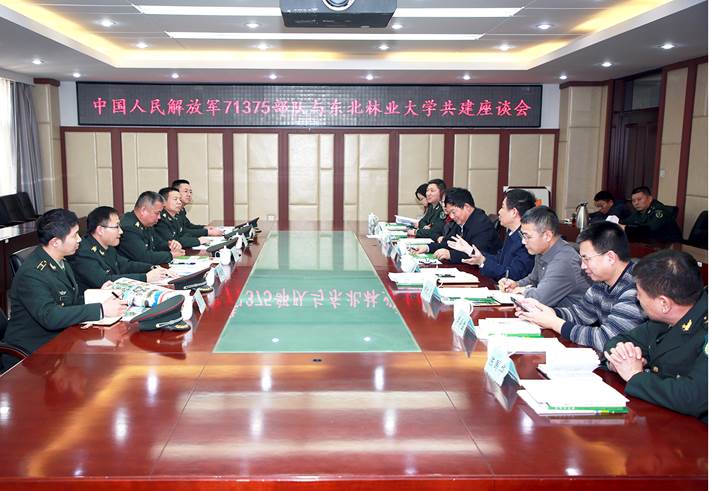 中國人民解放軍61367部隊(duì)，光榮與使命的象征，中國人民解放軍61367部隊(duì)，光榮使命的象征