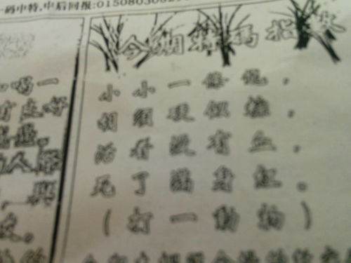 揭秘劉伯溫四肖選一肖的神秘預(yù)測藝術(shù)，劉伯溫四肖選一肖的神秘預(yù)測藝術(shù)揭秘