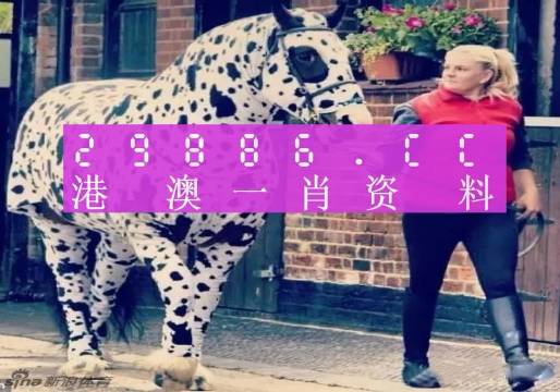 王中王一肖一馬中特之獨特魅力與深層含義，王中王一肖一馬，獨特魅力與深層內涵揭秘