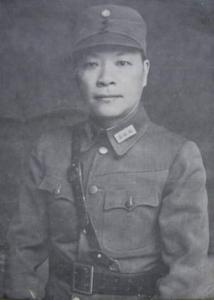 國民黨陸軍一級和二級上將名單及其歷史背景，國民黨陸軍一級和二級上將名單及其歷史背景揭秘